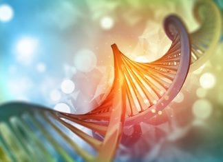 Pour Préserver le Code Divin